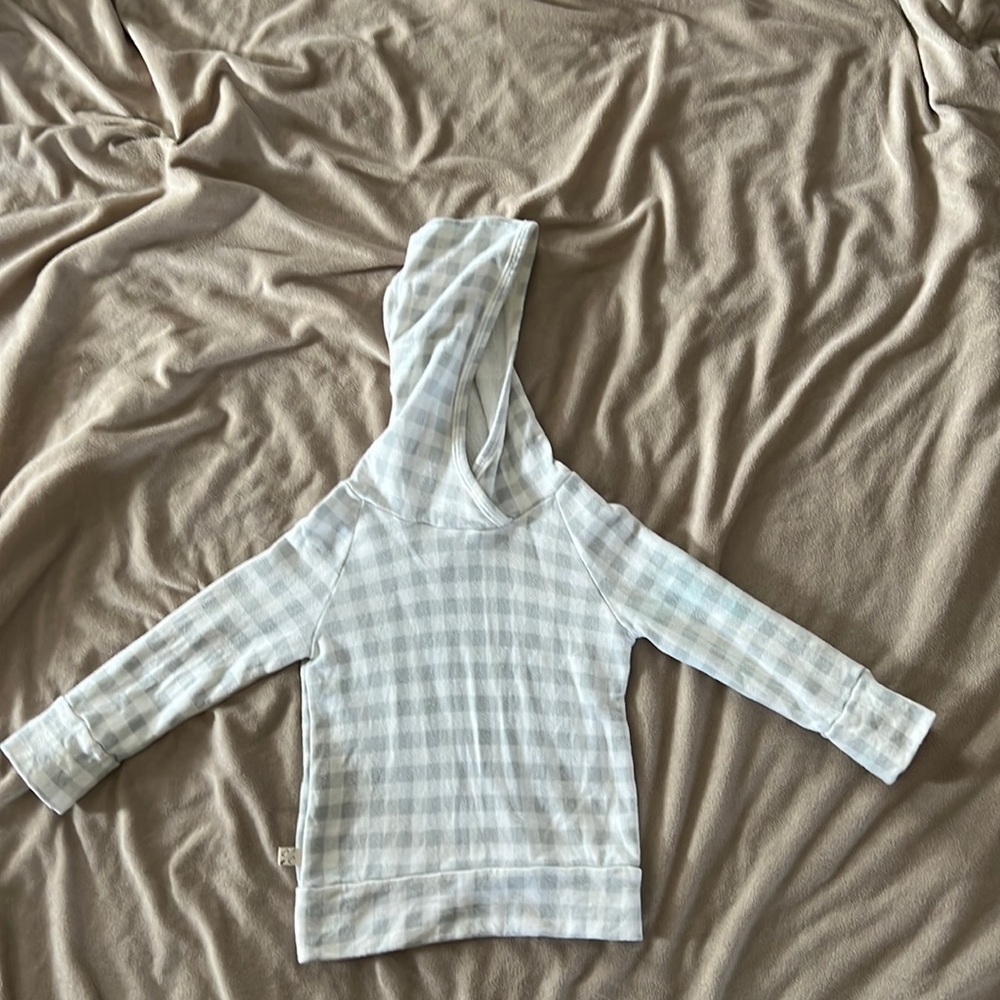 Childhoods Clothing Gingham Trademark Raglan Hoodie